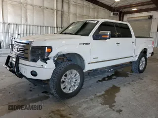 2014 Ford F-150 XL with VIN 1FTFW1ETXEFB39719, listed as a Copart auction lot 62073335 with 124,643 mi miles and Salvage title. Bid and sale history available at DreamBid. Image 1.
