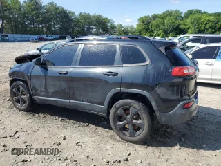 2016 Jeep Cherokee Limited with VIN 1C4PJMDB0GW366630, listed as a Copart auction lot 57622875 with 219,132 mi miles and Salvage title. Bid and sale history available at DreamBid. Image 2.