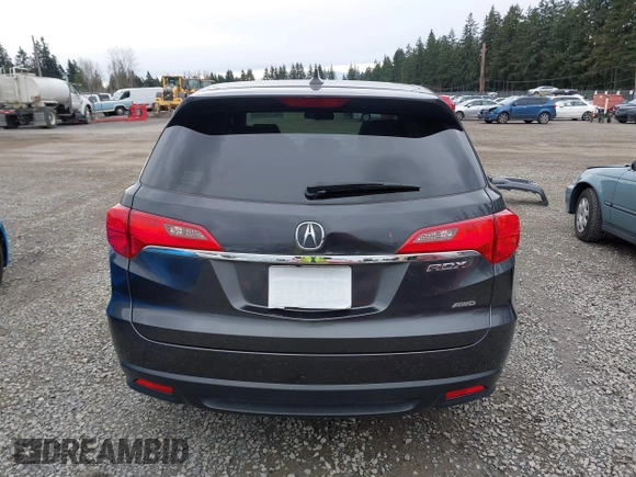 2013 Acura RDX Technology with VIN 5J8TB4H51DL005891, listed as a IAAI auction lot 41900377 with 170,765 mi miles and . Bid and sale history available at DreamBid. Image 17.