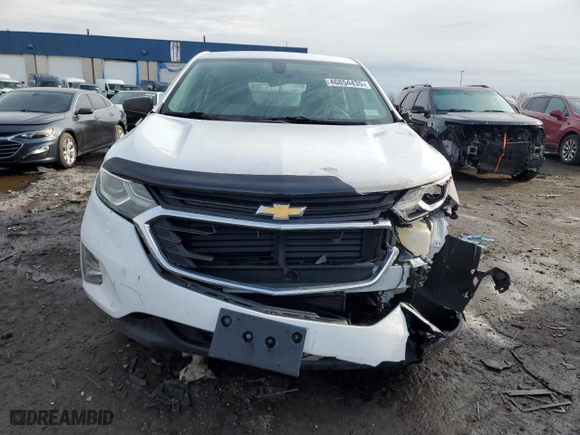 2019 Chevrolet Equinox LS with VIN 3GNAXHEV3KS606558, listed as a Copart auction lot 46854435 with 97,351 mi miles and Salvage Title. Bid and sale history available at carsss.com. Image 5.