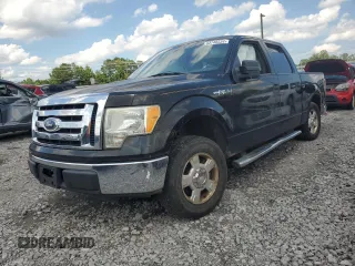 2010 Ford F-150 XL with VIN 1FTEW1C87AFD48615, listed as a Copart auction lot 64748534 with 0 mi miles and Salvage Title. Bid and sale history available at carsss.com. Image 1.