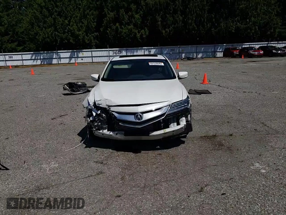 2018 Acura ILX Special Edition with VIN 19UDE2F45JA008049, listed as a Copart auction lot 59129645 with 46,166 mi miles and Salvage title. Bid and sale history available at DreamBid. Image 14.