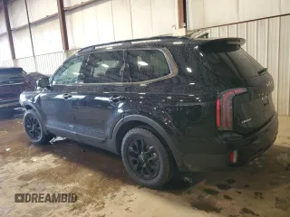 2024 Kia Telluride SX Prestige X-Pro with VIN 5XYP5DGC1RG498689, listed as a Copart auction lot 56469975 with 21,452 mi miles and Salvage title. Bid and sale history available at DreamBid. Image 2.