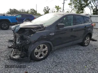 2014 Ford Escape SE with VIN 1FMCU0GX1EUA19463, listed as a Copart auction lot 51251195 with 122,249 mi miles and Salvage Title. Bid and sale history available at carsss.com. Image 1.