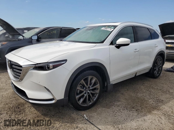 2020 Mazda CX-9 Signature with VIN JM3TCBEY1L0424622, listed as a Copart auction lot 73960174 with Not Provided miles and Non Repairable. Bid and sale history available at carsss.com. Image 1.