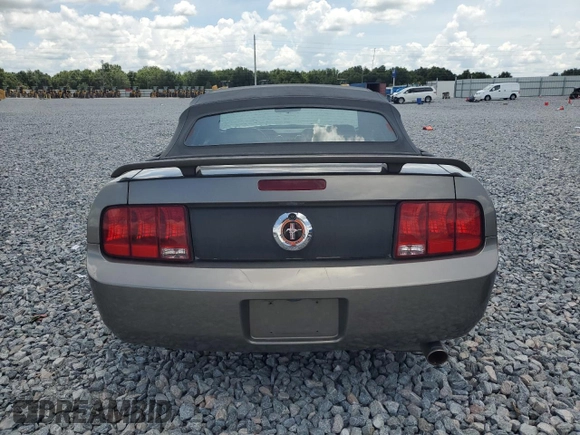 2005 Ford Mustang Deluxe with VIN 1ZVFT84N555215001, listed as a Copart auction lot 61993435 with 85,407 mi miles and Salvage title. Bid and sale history available at DreamBid. Image 6.