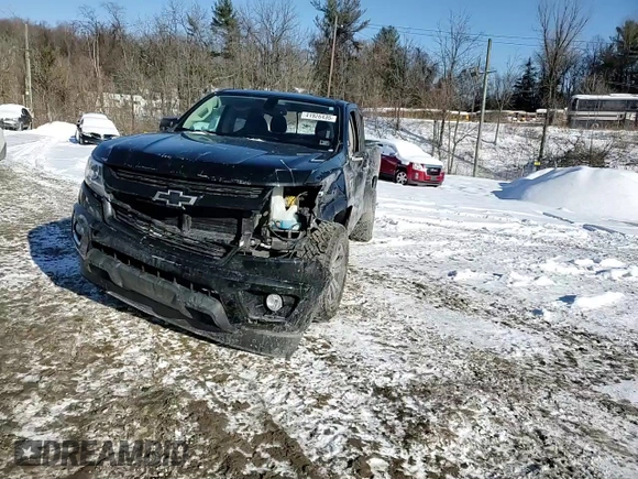 2020 Chevrolet Colorado 4WD Z71 with VIN 1GCGTDEN9L1123067, listed as a Copart auction lot 41926435 with 43,329 mi miles and Salvage title. Bid and sale history available at DreamBid. Image 10.