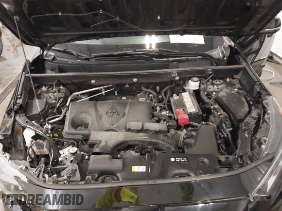 2019 Toyota RAV4 XLE with VIN 2T3P1RFV1KW052156, listed as a IAAI auction lot 41974041 with 95,442 mi miles. Bid and sale history available at carsss.com. Image 10.