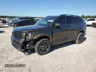 2024 Kia Telluride SX Prestige X-Pro with VIN 5XYP5DGC9RG460546, listed as a Copart auction lot 52364885 with 17,103 mi miles and Salvage Title. Bid and sale history available at carsss.com. Image 1.