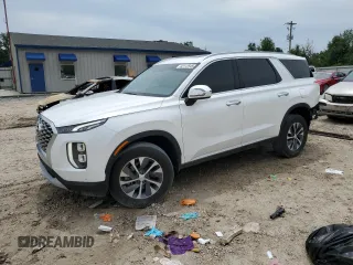 2020 Hyundai Palisade SEL with VIN KM8R2DHE5LU134519, listed as a Copart auction lot 62112545 with 73,442 mi miles and Non repairable. Bid and sale history available at DreamBid. Image 1.