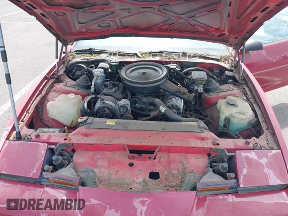1988 Pontiac Firebird Trans Am с VIN 1G2FW21E0JL216496, выставлен на аукционе IAAI как лот 42131654 с пробегом 231 941 миль миль и . История ставок и продаж доступна на DreamBid. Изображение 10.
