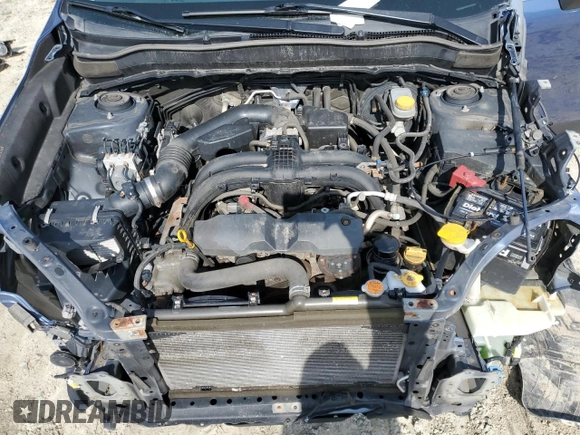 2017 Subaru Forester Limited with VIN JF2SJALC2HH501441, listed as a Copart auction lot 51919125 with 230,456 mi miles and Salvage Title. Bid and sale history available at carsss.com. Image 12.