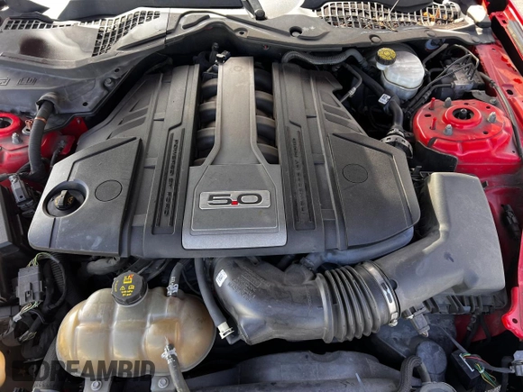 2019 Ford Mustang GT with VIN 1FA6P8CF8K5118569, listed as a Copart auction lot 55095225 with 90,313 mi miles and Clean Title. Bid and sale history available at carsss.com. Image 7.
