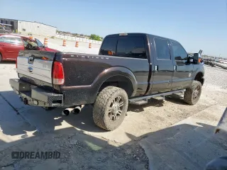 2014 Ford F-250 XL with VIN 1FT7W2BT1EEA14189, listed as a Copart auction lot 52920755 with 219,643 mi miles and Salvage title. Bid and sale history available at DreamBid. Image 3.