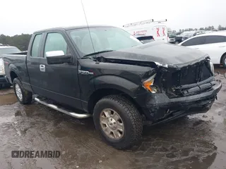 2010 Ford F-150 XL with VIN 1FTEX1C88AFC94335, listed as a IAAI auction lot 41563952 with 198,961 mi miles. Bid and sale history available at carsss.com. Image 1.