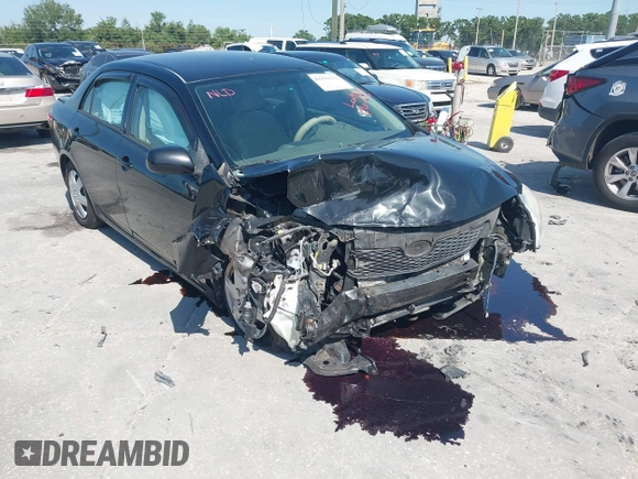2010 Toyota Corolla with VIN 2T1BU4EE6AC533356, listed as a IAAI auction lot 41991922 with 117,555 mi miles. Bid and sale history available at carsss.com. Image 6.