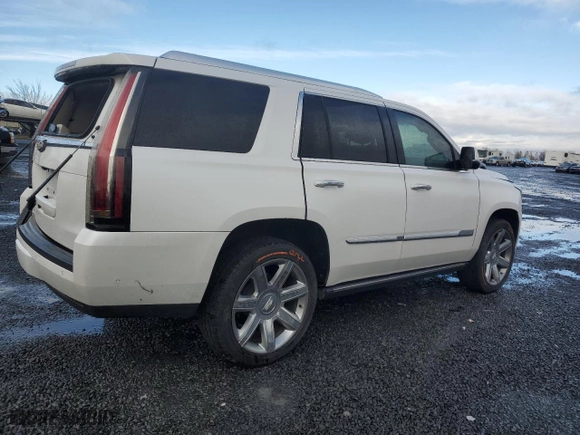 2018 Cadillac Escalade Premium Luxury with VIN 1GYS4CKJXJR243584, listed as a Copart auction lot 81556924 with 0 mi miles and Salvage Title. Bid and sale history available at carsss.com. Image 3.