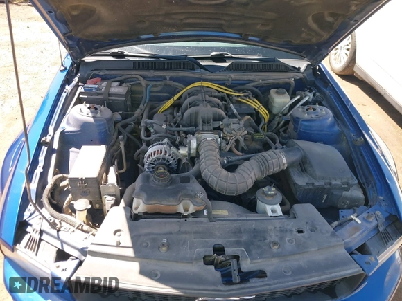 2008 Ford Mustang Deluxe with VIN 1ZVHT80N185198460, listed as a IAAI auction lot 42171425 with 135,024 mi miles and . Bid and sale history available at DreamBid. Image 10.