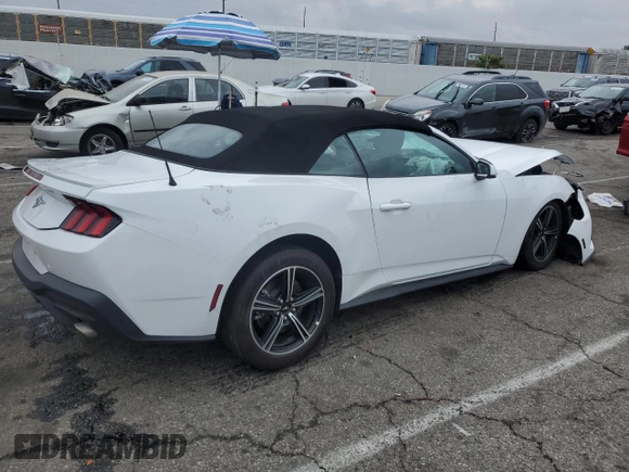 2024 Ford Mustang EcoBoost with VIN 1FAGP8UH5R5134002, listed as a Copart auction lot 43641575 with 0 mi miles and Non Repairable. Bid and sale history available at carsss.com. Image 3.