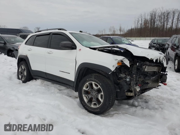 2019 Jeep Cherokee Trailhawk Elite with VIN 1C4PJMBX3KD196654, listed as a Copart auction lot 46592565 with 122,225 mi miles and Salvage Title. Bid and sale history available at carsss.com. Image 4.