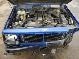 1995 Jeep Cherokee SE with VIN 1J4FJ28S9SL667332, listed as a Copart auction lot 81849264 with 201,205 mi miles and Salvage Title. Bid and sale history available at carsss.com. Image 11.