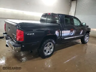 2011 Ram Dakota SLT with VIN 1D7RW5GP1BS504771, listed as a Copart auction lot 50613405 with 146,269 mi miles and Salvage Title. Bid and sale history available at carsss.com. Image 3.