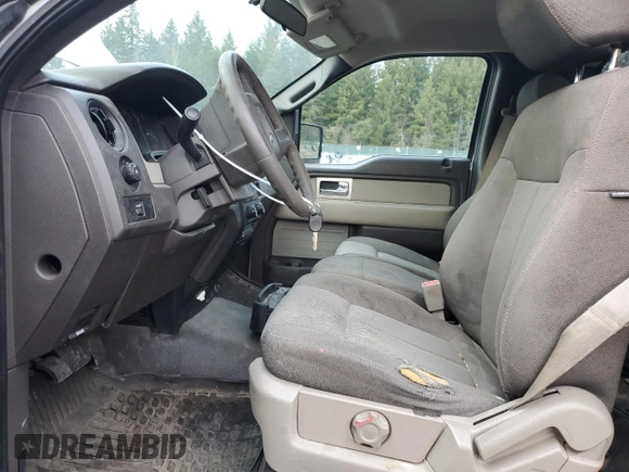 2009 Ford F-150 XL with VIN 1FTPF12V89KA70911, listed as a Copart auction lot 46358075 with 209,017 mi miles and Salvage Title. Bid and sale history available at carsss.com. Image 7.