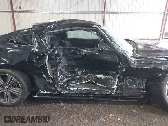 2014 Ford Mustang V6 with VIN 1ZVBP8AM5E5284026, listed as a IAAI auction lot 41861609 with 123,352 mi miles. Bid and sale history available at carsss.com. Image 13.