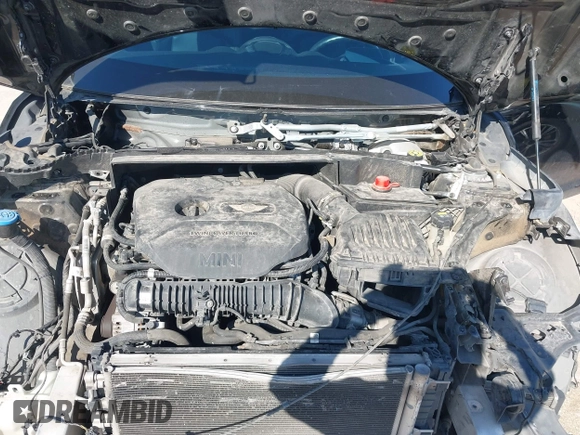 2019 MINI Countryman Cooper S with VIN WMZYT3C59K3E96486, listed as a IAAI auction lot 41938863 with 110,349 mi miles and . Bid and sale history available at DreamBid. Image 10.