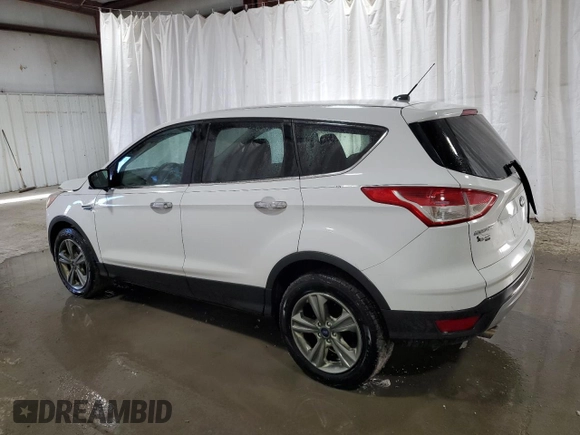 2013 Ford Escape SE with VIN 1FMCU0GX9DUD79577, listed as a Copart auction lot 48481055 with 153,251 mi miles and Clean Title. Bid and sale history available at carsss.com. Image 2.