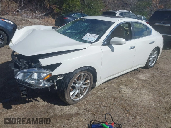 2010 Nissan Maxima SV with VIN 1N4AA5AP9AC822215, listed as a IAAI auction lot 41847782 with Not provided miles and . Bid and sale history available at DreamBid. Image 2.
