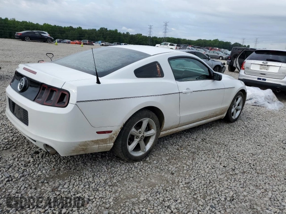 2014 Ford Mustang V6 with VIN 1ZVBP8AMXE5315092, listed as a Copart auction lot 58765755 with 177,060 mi miles and Salvage title. Bid and sale history available at DreamBid. Image 3.