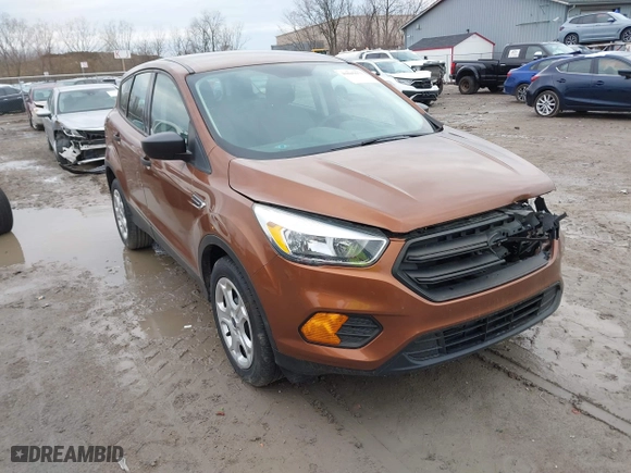 2017 Ford Escape S with VIN 1FMCU0F78HUB51156, listed as a IAAI auction lot 41845673 with 178,982 mi miles. Bid and sale history available at carsss.com. Image 1.