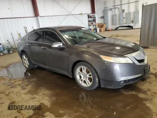 2009 Acura TL Tech with VIN 19UUA86549A018283, listed as a Copart auction lot 51913805 with 205,287 mi miles and Salvage Title. Bid and sale history available at carsss.com. Image 4.