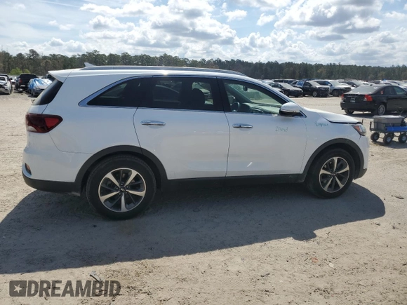 2019 Kia Sorento EX V6 with VIN 5XYPH4A58KG541903, listed as a Copart auction lot 50917225 with 97,284 mi miles and Salvage Title. Bid and sale history available at carsss.com. Image 3.