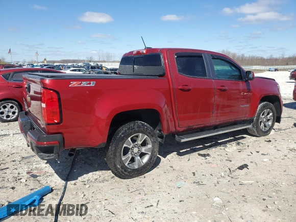 2019 Chevrolet Colorado 4WD Z71 with VIN 1GCGTDEN7K1106007, listed as a Copart auction lot 53304245 with 52,693 mi miles and Salvage title. Bid and sale history available at DreamBid. Image 3.
