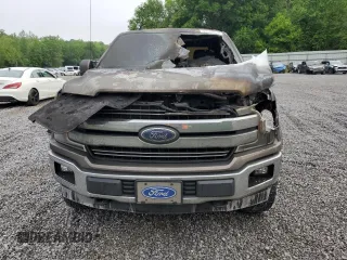 2019 Ford F-150 XL with VIN 1FTEW1E50KKC39280, listed as a Copart auction lot 53943915 with Not provided miles and Salvage title. Bid and sale history available at DreamBid. Image 5.