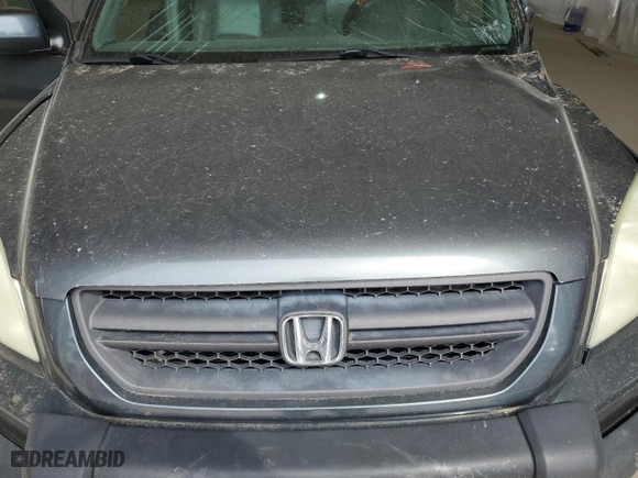2004 Honda Pilot EX with VIN 2HKYF18504H552856, listed as a Copart auction lot 49385025 with 0 mi miles and Salvage Title. Bid and sale history available at carsss.com. Image 13.