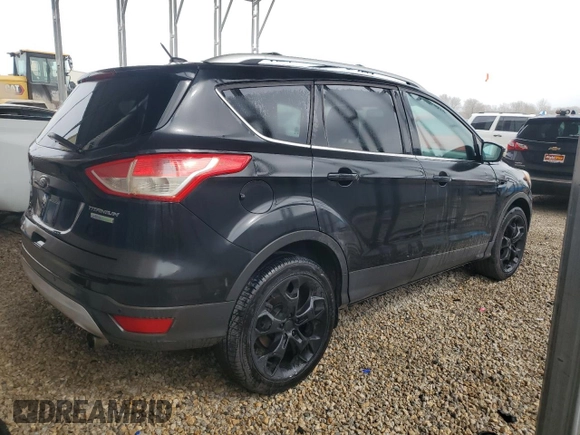2013 Ford Escape Titanium with VIN 1FMCU0J98DUA01132, listed as a Copart auction lot 49501705 with 318,385 mi miles and Clean Title. Bid and sale history available at carsss.com. Image 3.