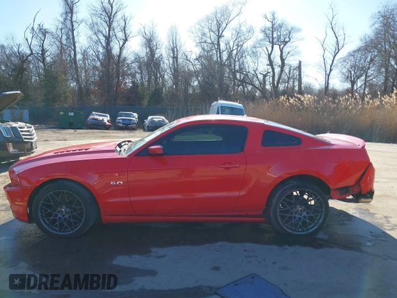 2013 Ford Mustang GT with VIN 1ZVBP8CFXD5215667, listed as a IAAI auction lot 41525268 with 129,561 mi miles and . Bid and sale history available at DreamBid. Image 14.