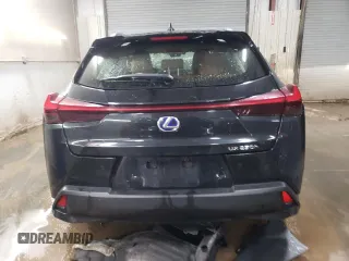 2019 Lexus UX 250h with VIN JTHU9JBH9K2009009, listed as a Copart auction lot 42381095 with Not provided miles and Salvage title. Bid and sale history available at DreamBid. Image 6.