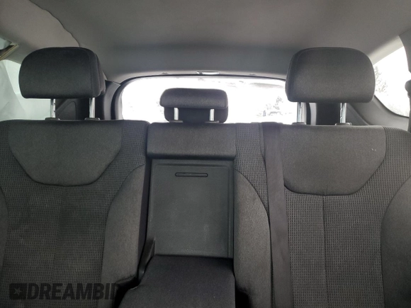 2019 Hyundai Santa Fe SE with VIN 5NMS2CAD9KH102793, listed as a Copart auction lot 43292245 with 160,903 mi miles and Salvage Title. Bid and sale history available at DreamBid. Image 10.