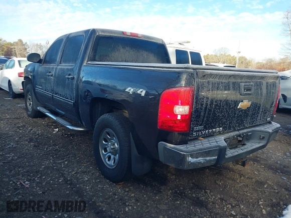 2010 Chevrolet Silverado 1500 LS with VIN 3GCRKREA9AG151200, listed as a IAAI auction lot 41172064 with 113,662 mi miles. Bid and sale history available at carsss.com. Image 3.