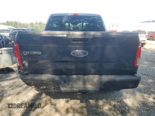 2016 Ford F-150 XLT with VIN 1FTEW1EP4GFD27637, listed as a Copart auction lot 63101465 with 251,049 mi miles and Clean title. Bid and sale history available at DreamBid. Image 6.