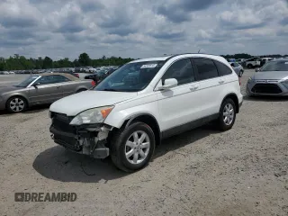 2009 Honda CR-V EX-L z VIN 5J6RE38709L027958, wystawiony jako Copart lot #54302815 z przebiegiem 217 925 mil mil oraz Szkoda całkowita • Salvage title. Historia ofert i sprzedaży dostępna na DreamBid. Obrazek 1.