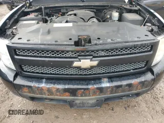 2007 Chevrolet Silverado 1500 1LT with VIN 1GCEK19087Z525953, listed as a Copart auction lot 49718225 with 124,641 mi miles and Clean Title. Bid and sale history available at DreamBid. Image 11.