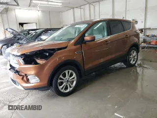 2017 Ford Escape SE with VIN 1FMCU0GD7HUE53039, listed as a Copart auction lot 51157025 with 89,216 mi miles and Salvage Title. Bid and sale history available at DreamBid. Image 1.