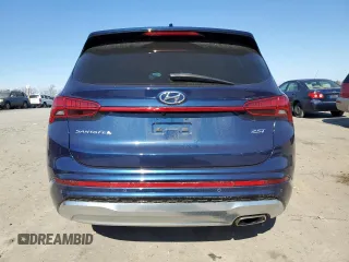 2023 Hyundai Santa Fe Calligraphy with VIN 5NMS54AL9PH576772, listed as a Copart auction lot 46833365 with 18,848 mi miles and Salvage Title. Bid and sale history available at carsss.com. Image 6.