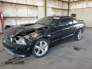 2007 Ford Mustang GT Deluxe with VIN 1ZVHT82H175269324, listed as a Copart auction lot 53124235 with 0 mi miles and Salvage Title. Bid and sale history available at carsss.com. Image 1.