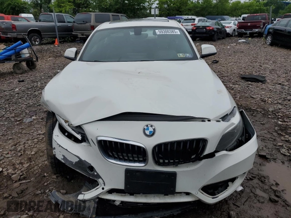 2016 BMW 2 Series 228i xDrive with VIN WBA1G9C53GV599188, listed as a Copart auction lot 59300385 with Not provided miles and Salvage title. Bid and sale history available at DreamBid. Image 5.